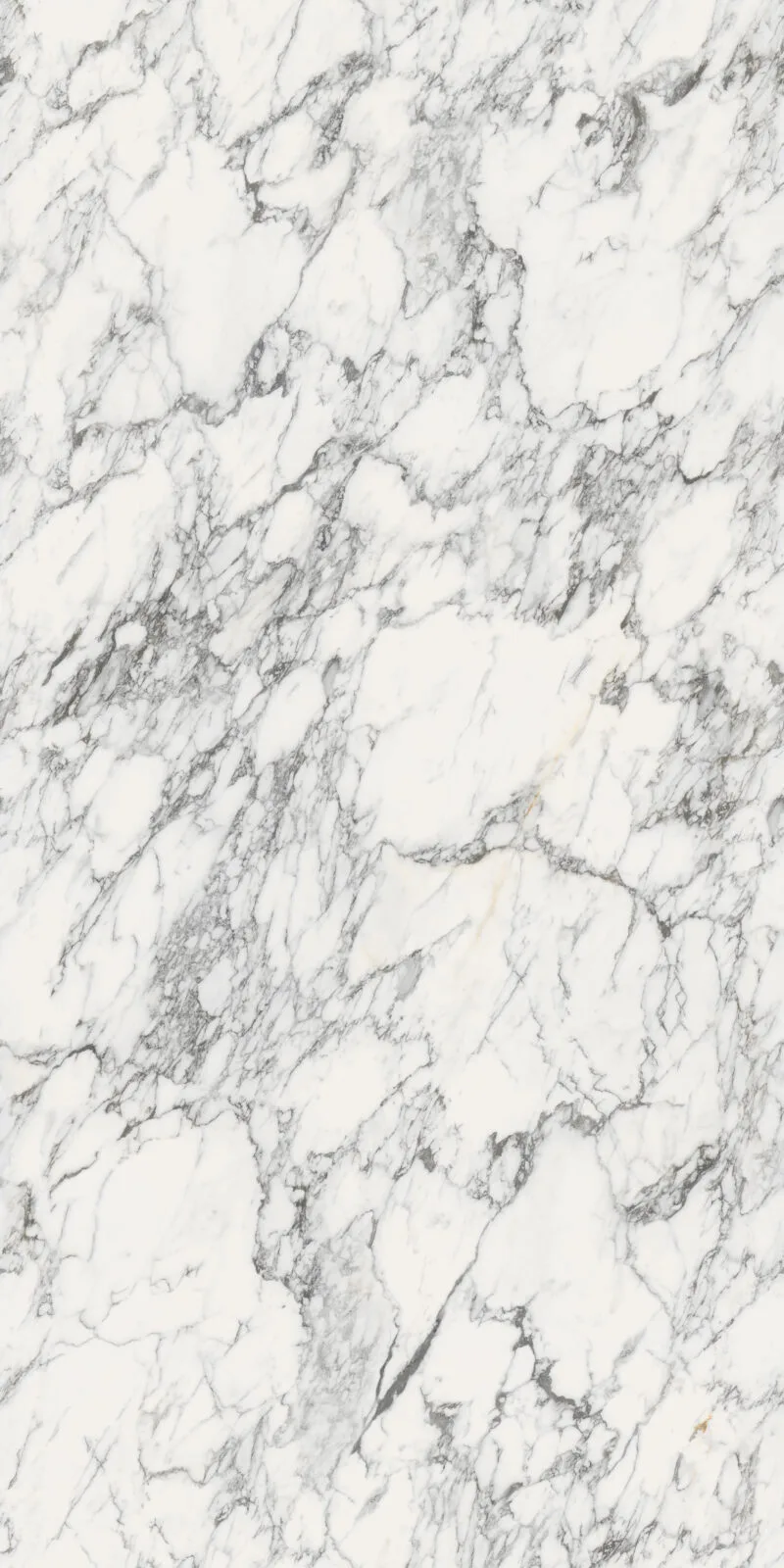 SinStone Balop